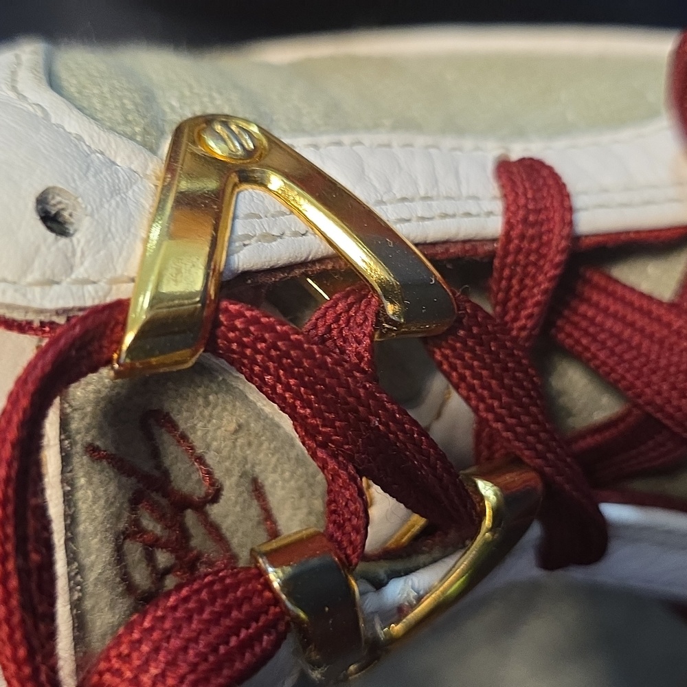 Lebron 7 MVP Historu - Picture 13 of 14